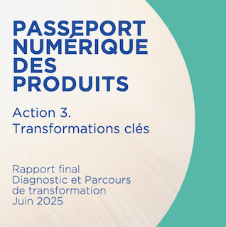 Rapport final Diagnostic et parcours