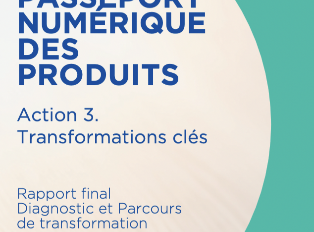 Rapport final Diagnostic et parcours